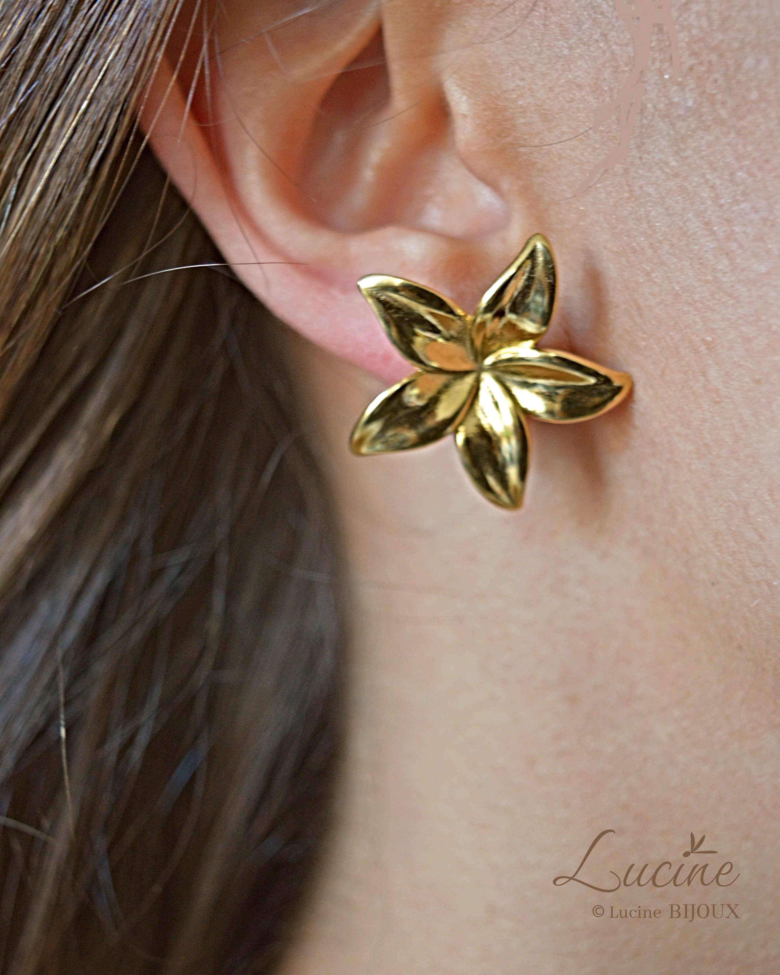 Boucles d'oreilles Lucie